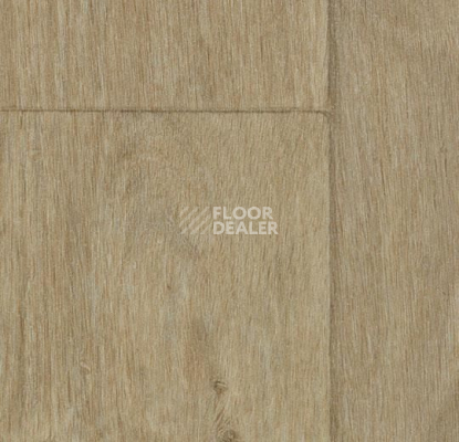 Линолеум Forbo SureStep Wood 18882 classic oak фото 1 | FLOORDEALER